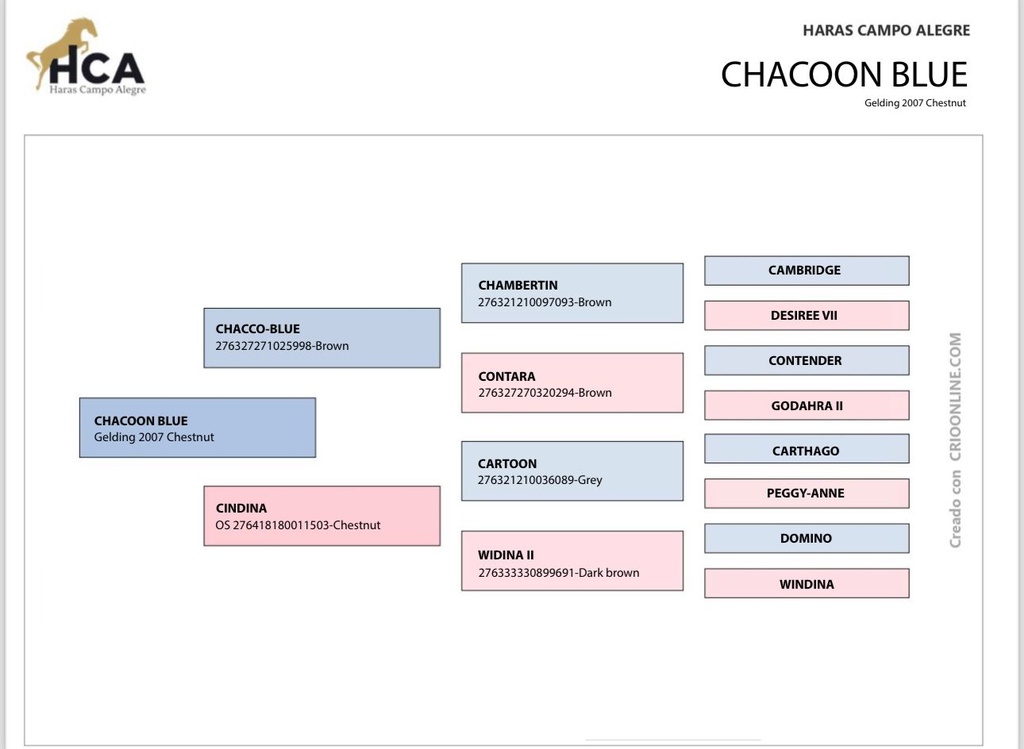 Embrión Brienne de Landeta Z & Chacoon Blue