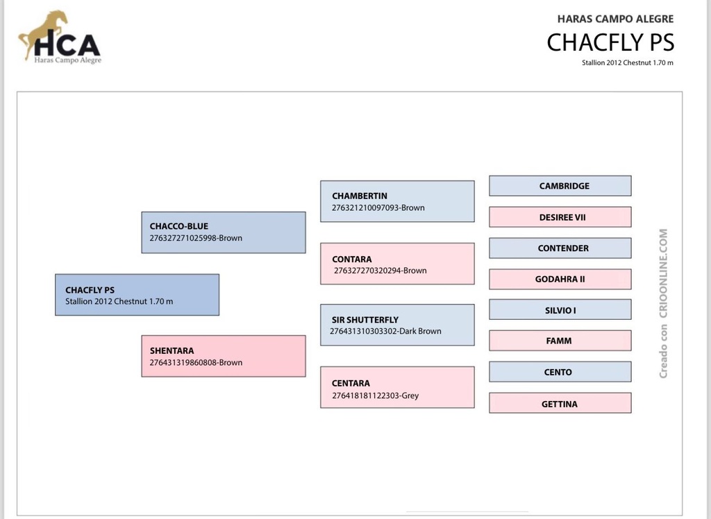 Embrión HCA Dianavesper & Chacflys PS