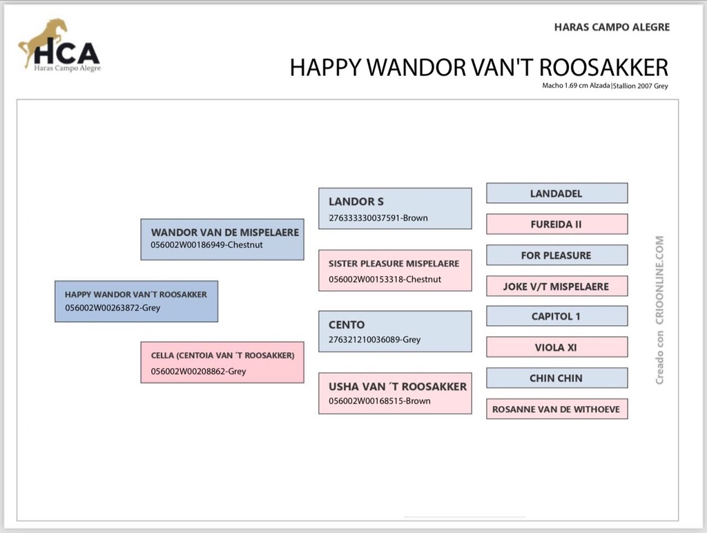 Embrión HCA Bluemuch & Happy Wandor