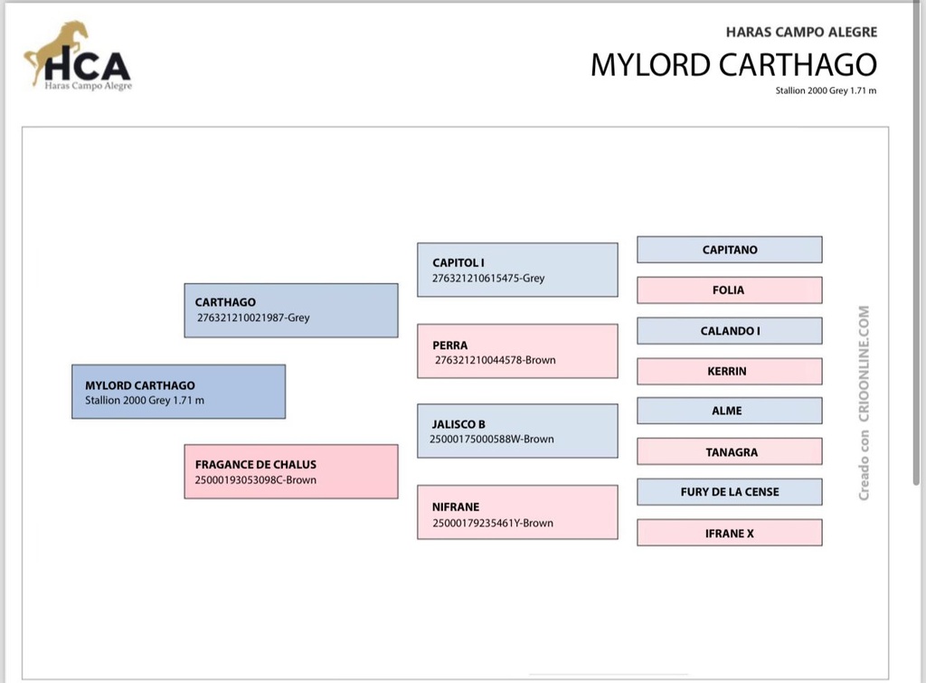 Embrión HCA Contigoblue & My Lord Carthago